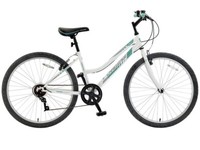 ladies mountain bike for sale